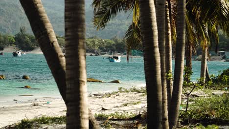 Static-shot-of-tranquil-exotic-ocean-shore-with-sandy-beach,in-foreground-leaves-of-palm-trees-blowing-in-wind