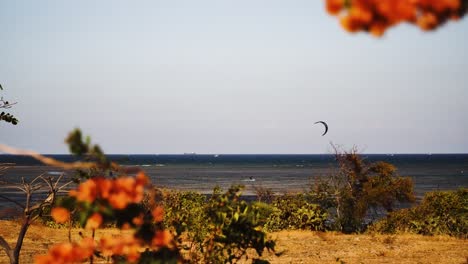 View-through-plants-of-kitesurf-on-rough-sea-on-windy-day,-My-Hoa-lagoon-in-Vietnam