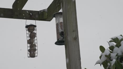 Close-up-of-two-bird-feeders-while-it-is-snowing