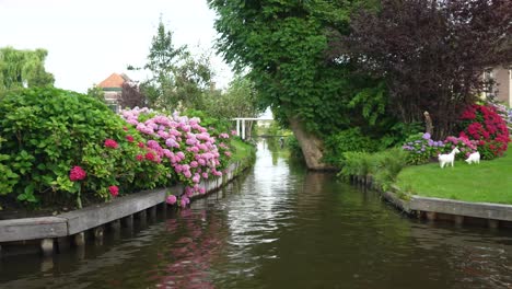 View-of-canal-surrounded-by-flowers-and-bushes