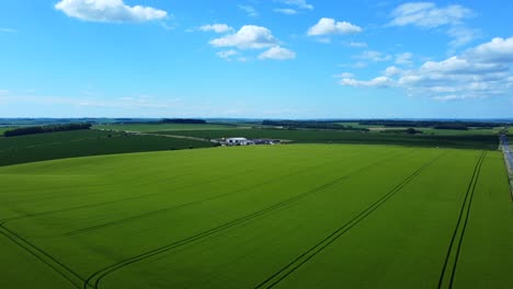 Aerial-view-of-endless-green-harvested-crops-on-Salisbury-Plains-in-rural-England