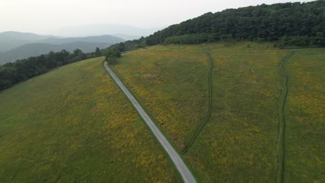 mountain-trail-through-meadow-in-appalachian-mountains