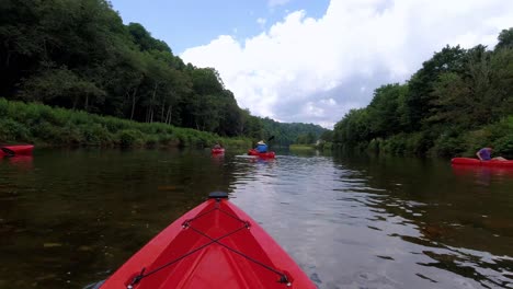 kayaking-along-the-new-river-in-ashe-county-nc-near-west-jefferson-nc-near-boone-nc