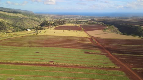 Vista-Aérea-De-Drones-Desde-Arriba.-Comunidad-Agrícola-De-Hawai
