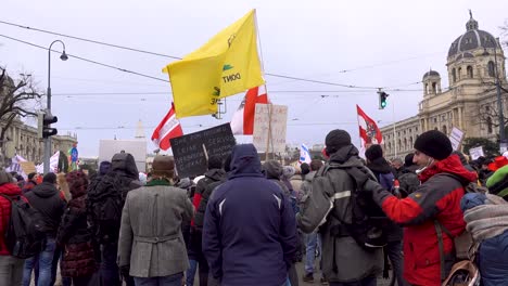 Gadsen-flag-being-waved-high-above-crowd-during-outdoor-protests