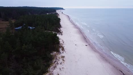 Beautiful-aerial-view-of-dense-coastal-pine-trees-at-the-Baltic-sea-coastline,-overcast-day,-white-sand-beach-affected-by-sea-coastal-erosion,-calm-seashore,-wide-angle-drone-shot-moving-forward