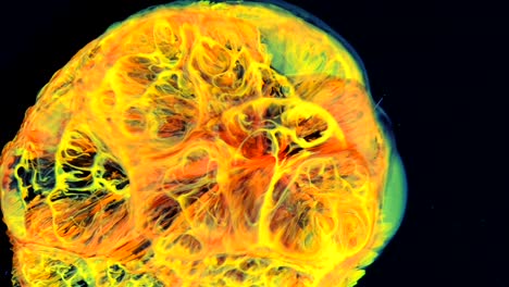 This-Abstract-Yellow-Fire-Ball-slowly-descended-from-the-night-sky,-giving-me-ample-time-to-crank-my-movie-camera-and-film-it---an-all-natural-AbstractVideoClip