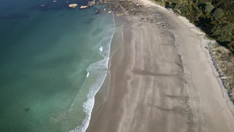 Mar-Azul-Claro-Y-Turquesa-En-La-Playa-De-Anchor-Bay,-Atracción-Turística-En-El-Parque-Regional-De-Tawharanui-En-Nueva-Zelanda