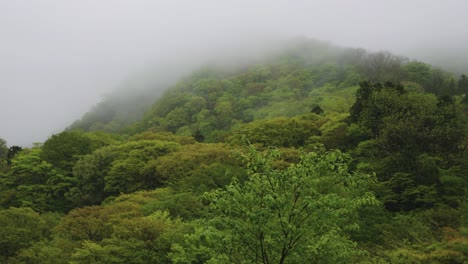 Misty-peak-of-Mt-Daisen,-Tottori-Japan