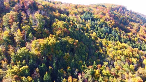 Schneller-Flug-über-Herbstlich-Gefärbten-Laubmischwald-Mit-Wunderschönen-Herbstfarben-Und-Nach-Unten-Gerichteter-Kamerabewegung