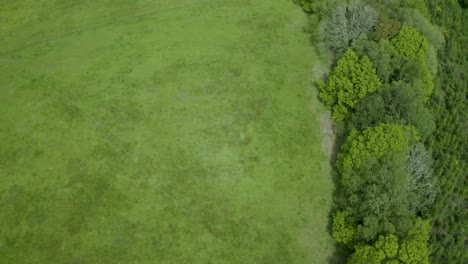 Simple-countryside-corner-above-farmland-fields-aerial-view-tilting-upwards-alongside-woodland
