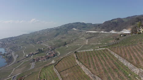 Aerial-of-large-vineyards-on-mountain-slope