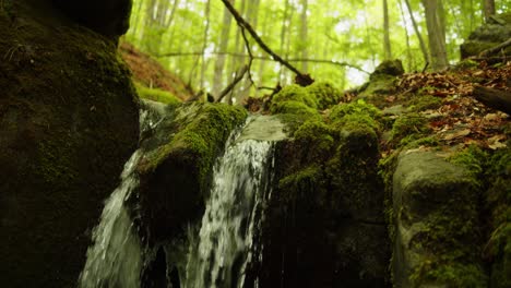 Wasser-Fällt-Von-Einem-Felsen-Auf-Einen-Wilden,-Farbenfrohen-Wald