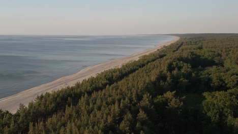 Aerial-View-Of-The-Lush-Green-Vegetation-At-The-Baltic-Coast
