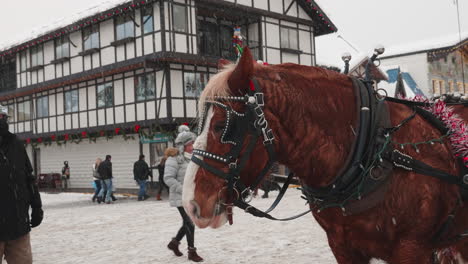 Static-shot-of-a-horse-cart-in-a-winter-morning-during-snowfall-and-people-passing-by-in-the-road-in-Leavenworth,-WA