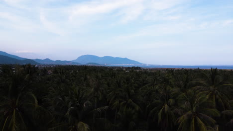 Luftbild-Tropischer-Dschungel-Regenwaldlandschaft-Cam-Ranh-Küste-Vietnam-Mit-Malerischer-Bergseelandschaft