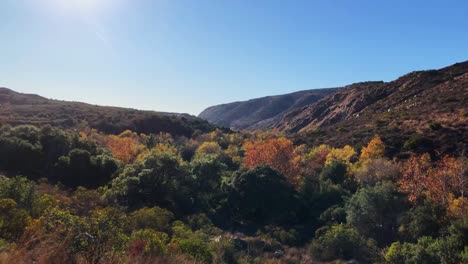 Blick-Auf-Die-Herbstblätter-Im-Mission-Trails-Regional-Park-In-San-Diego,-Kalifornien