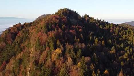 Drohnenaufnahme-Eines-Berges,-Der-Von-Einem-Farbenfrohen-Herbstwald-Bedeckt-Ist