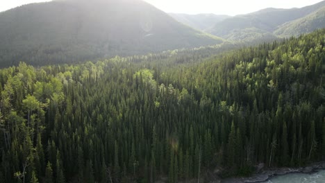 Aerial-drone-video-of-the-incredible-dense-forest-on-the-banks-of-Toad-river-under-the-sunlight-in-Northern-British-Columbia,-Canada