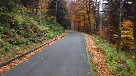 Autumn-road-in-mountain-forest