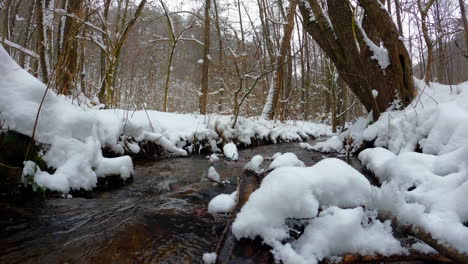 Winter-nature-scenery-with-water-stream-and-trees-covered-in-snow