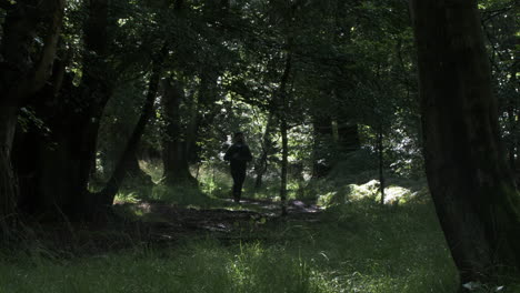 Silhouette-Eines-Mannes,-Der-In-Der-Ferne-Im-Wald-Fotografiert
