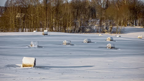 Baled-hay-is-left-on-a-field-all-covered-with-fresh-snow,-with-some-trees-in-the-background