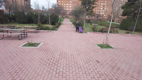 Old-Woman-on-a-Red-Brick-Pedestrian-Path-With-A-Purple-Wheelie-Bag