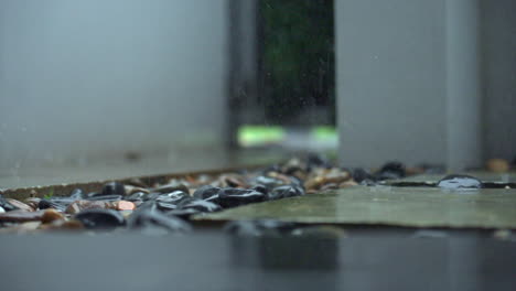 Slow-motion-shot-of-rain-hitting-an-outdoor-garden-patio,-pavement-and-pebbles-with-the-raindrops-splashing-at-200fps