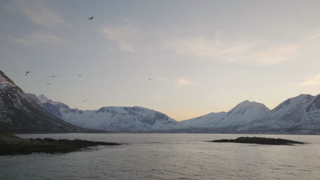 Vögel-Fliegen-Im-Winter-In-Der-Majestätischen-Norwegischen-Fjordlandschaft,-Aus-Der-Luft