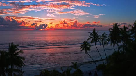 Beach-with-palm-trees-and-an-incredibly-beautiful-sunset