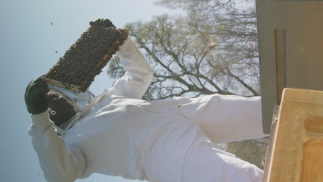 VERTICAL---EPIC-HERO-shot---Beekeeper-inspecting-a-frame-from-a-hive
