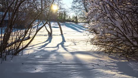 Glitzernder-Schnee-In-Der-Abenddämmerung-Mit-Blattlosen-Bäumen-Während-Der-Wintersaison