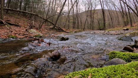 Wide-angle-view-of-a-gentle-and-beautiful-autumn-stream-in-beautiful-woodland