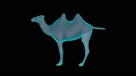 Ein-Wunderschönes-3D-Kamel-Hologramm-Plattenspieler-Rendering