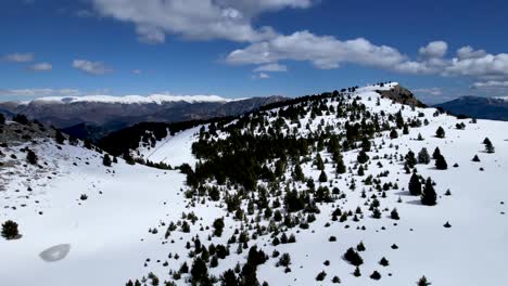Verschneite-Landschaft-An-Einem-Sonnigen-Tag-Eines-Alpenwaldes,-Gesehen-Von-Einer-Dji-Drohne