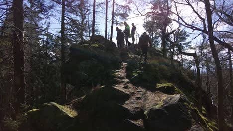 A-group-of-hikers-climbed-to-the-top-of-a-rocky-formation-in-the-woods-on-a-sunny-spring-day,-Žďárské-Vrchy,-Czech-Republic