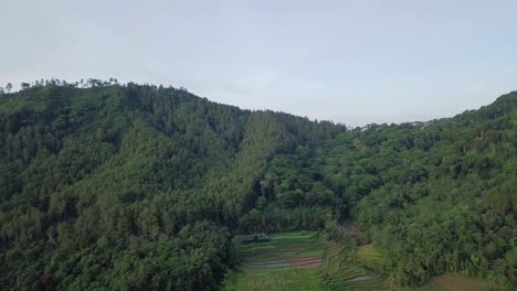 Luftaufnahme-Einer-Waldlandschaft-Mit-Plantagenfeld-Auf-Einem-Berg-In-Indonesien
