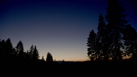 STATIC-magic-twilight-silhouetted-forest-scene,-blue-sky,-Romania