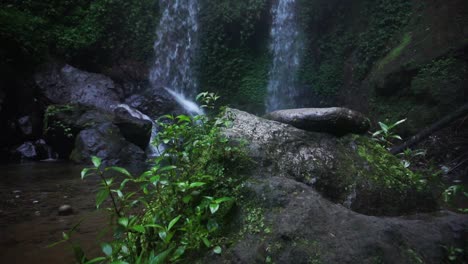 Nahaufnahme-Von-Felsen-Mit-Pflanzen-Und-Moos-Während-Des-Plätschernden-Wasserfalls-Im-Hintergrund-Mitten-Im-Regenwald