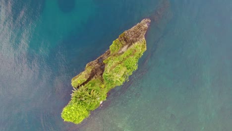 Luftaufnahme-Der-Insel-Cocles-In-Costa-Rica