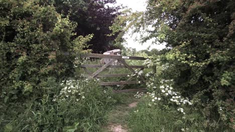 Old-wooden-farm-gate-blocking-a-path-to-the-overgrown-field,-rural-England-UK