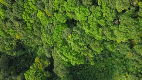 Overhead-drone-view-of-hill-and-forest-in-tropical-country-Indonesia