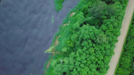Aerial-birdseye-view-of-a-Venta-river-on-a-sunny-summer-day,-lush-green-trees-and-meadows,-beautiful-rural-landscape,-wide-angle-drone-dolly-shot-moving-left