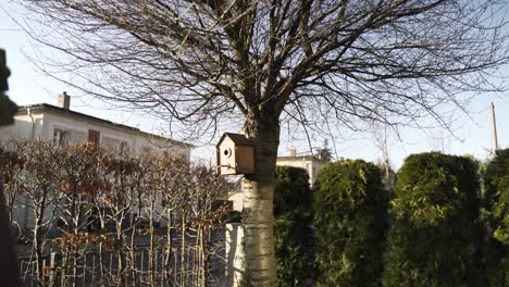 Vogelhaus-Hängt-An-Einem-Baum-In-Einem-Garten