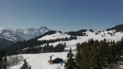Drohne-Fliegt-über-Grüne-Kiefern-Und-Enthüllt-Ein-Wunderschönes-Skigebiet