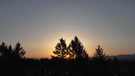 Luftaufnahme,-Die-Sich-Durch-Silhouettierte-Bäume-Schlängelt,-Mit-Einem-Warmen-Sonnenaufgang-In-Der-Ferne