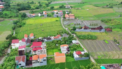 Lokale-Balinesische-Häuser-Und-Villen,-Umgeben-Von-Reisfeldern,-Die-Geerntet-Werden,-Aus-Der-Luft