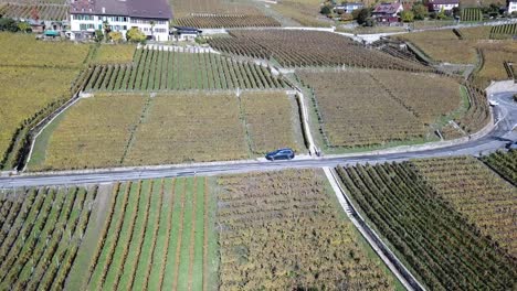 Pullback,-drone-view-of-a-car-in-Lavaux-vineyards,-Vaud,-Switzerland