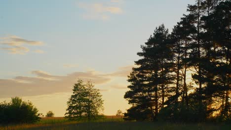 Time-lapse-of-moving-clouds-with-silhouette-of-pine-trees-in-foreground-during-golden-hour